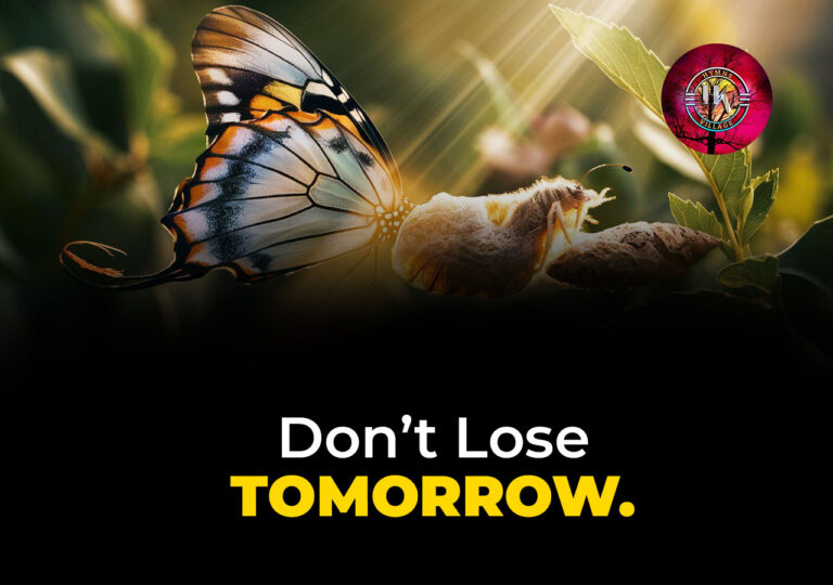 Don’t Lose Tomorrow