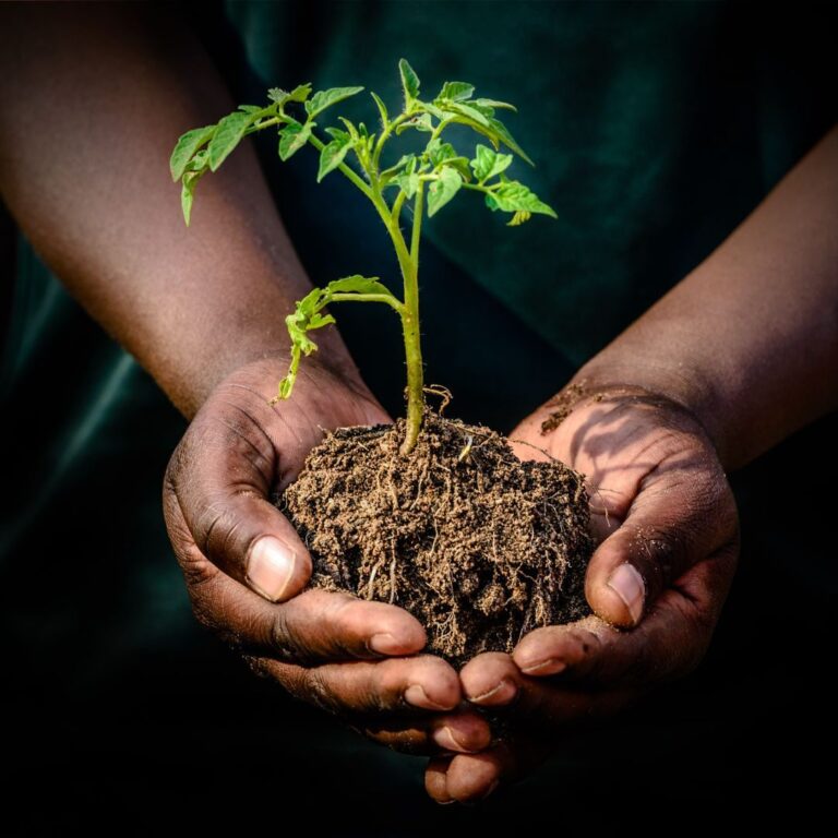 Seed Faith: Can Your Donation Change Your Future?