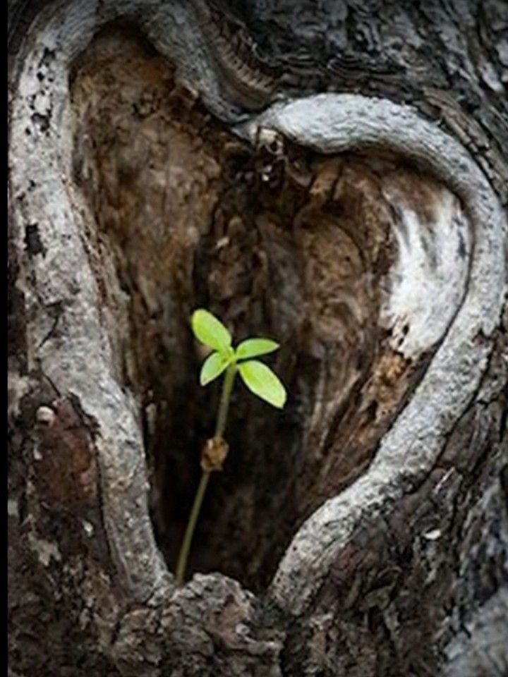 The Difference Between Biblical Hope and Wishful Thinking