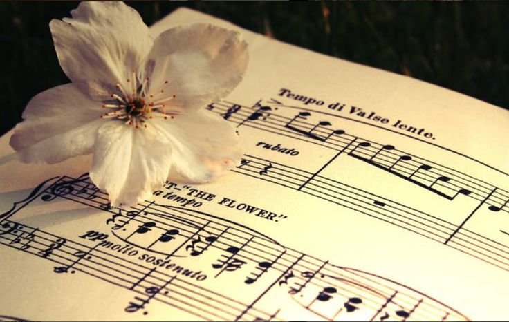 How Multicultural Congregations Are Rewriting the Hymn Singing Experience